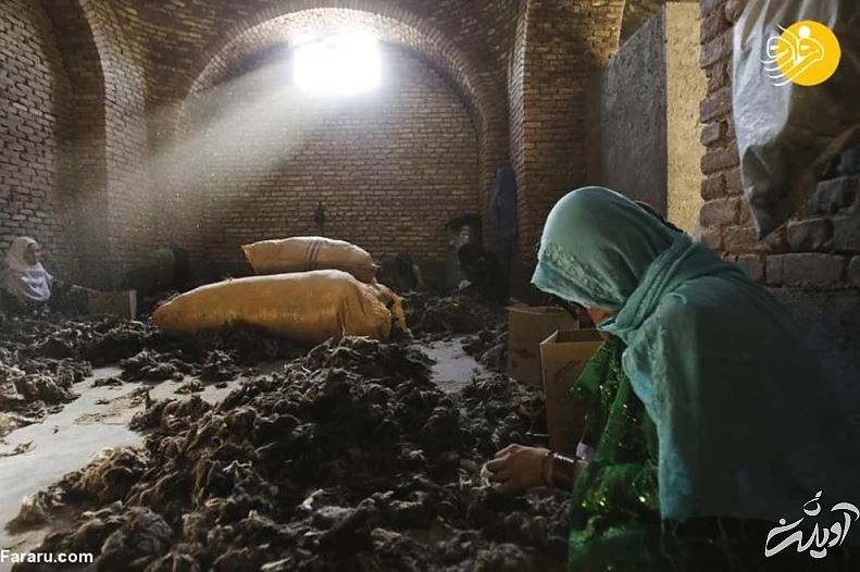 (تصاویر) آزادی‌های زنان افغان تا پیش از آمدن طالبان